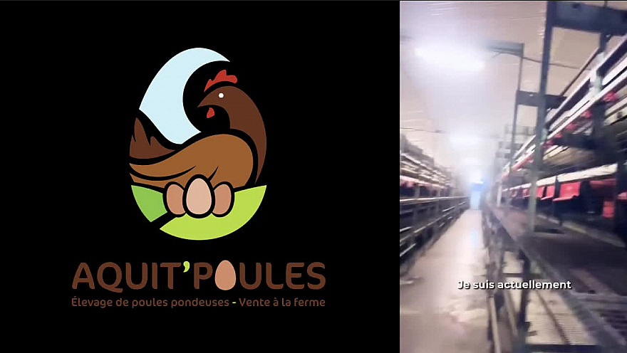 Acteurs Locaux du Lot-et-Garonne l'élevage de Poules Pondeuses Aquit'Poules de Bournel a besoin de vous